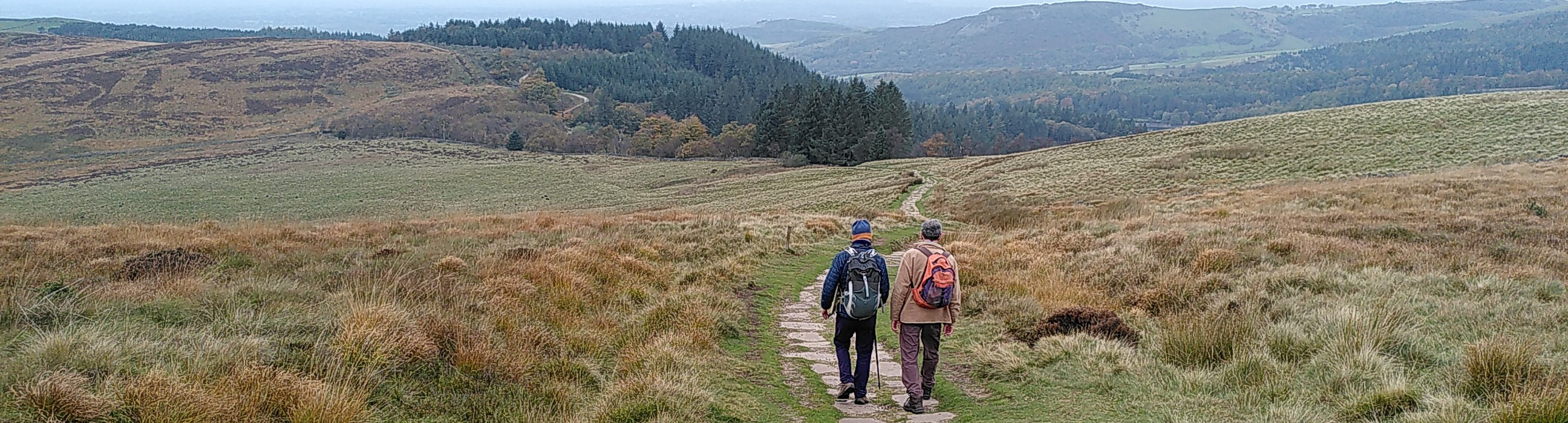Descending Shutlingsloe, 2025